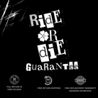 SB505 I East Hampton - doJi Shades